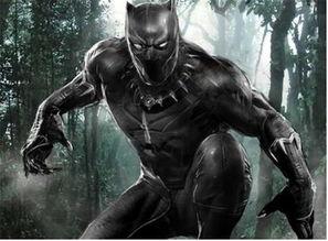 黑豹足球最新爆料,揭秘球队内部最新动态与转会传闻  第1张